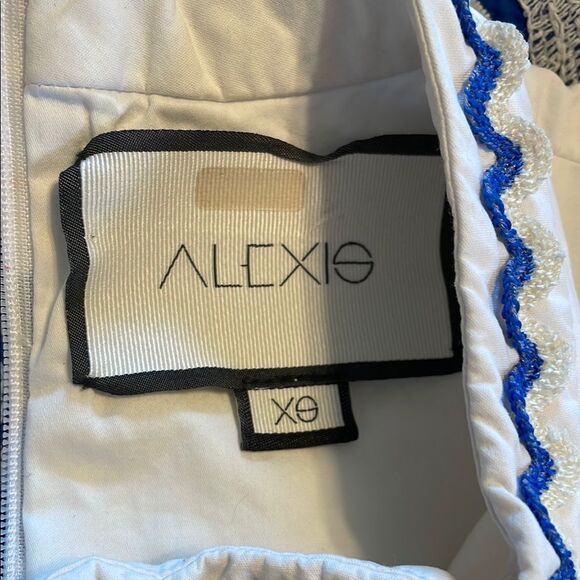 Alexis Farah Mini Dress in Santorini Embroidery XS - Picture 6 of 10